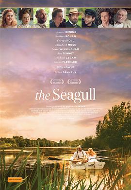 seagull